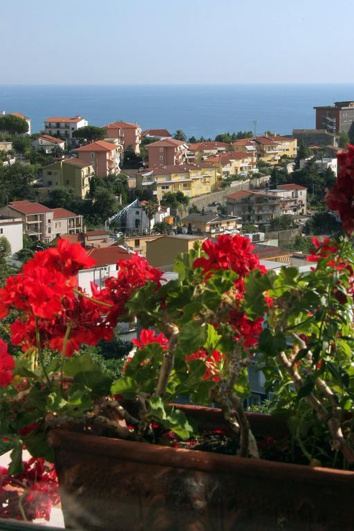 B&B Adriana Paola Dış mekan fotoğraf